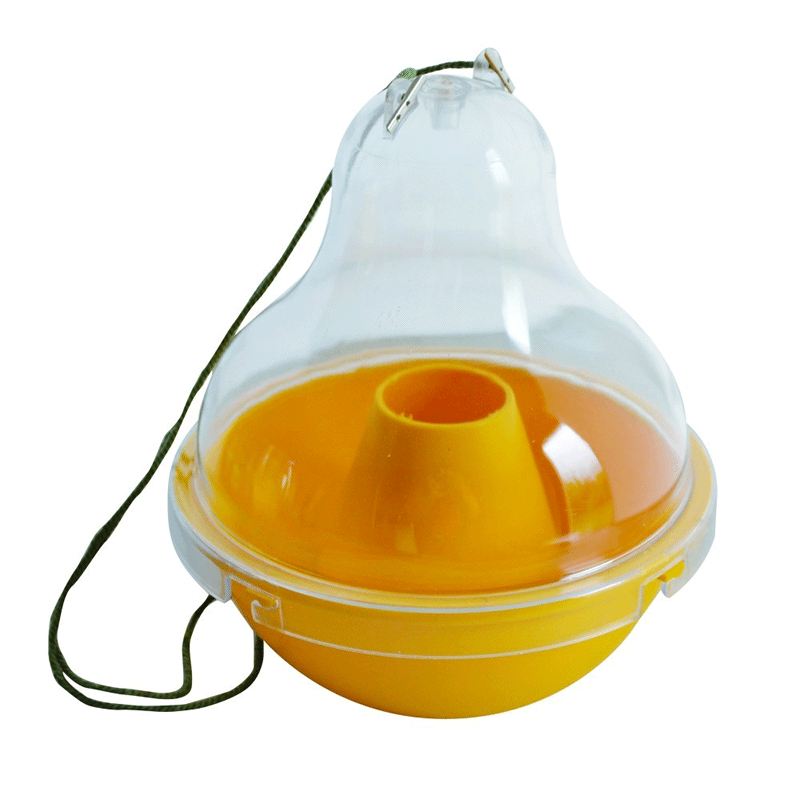 Trappit Wasp Dome Trap